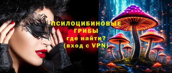 прущие крисы Абаза