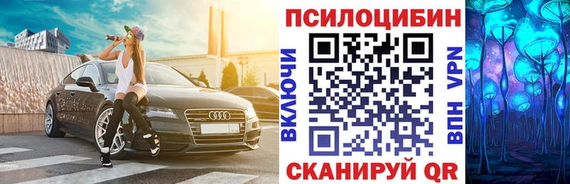 гидра зеркало  Сычёвка  Псилоцибиновые грибы Psilocybe  цена наркотик 