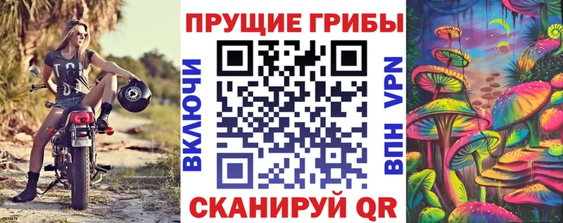 Галлюциногенные грибы Psilocybe Сычёвка